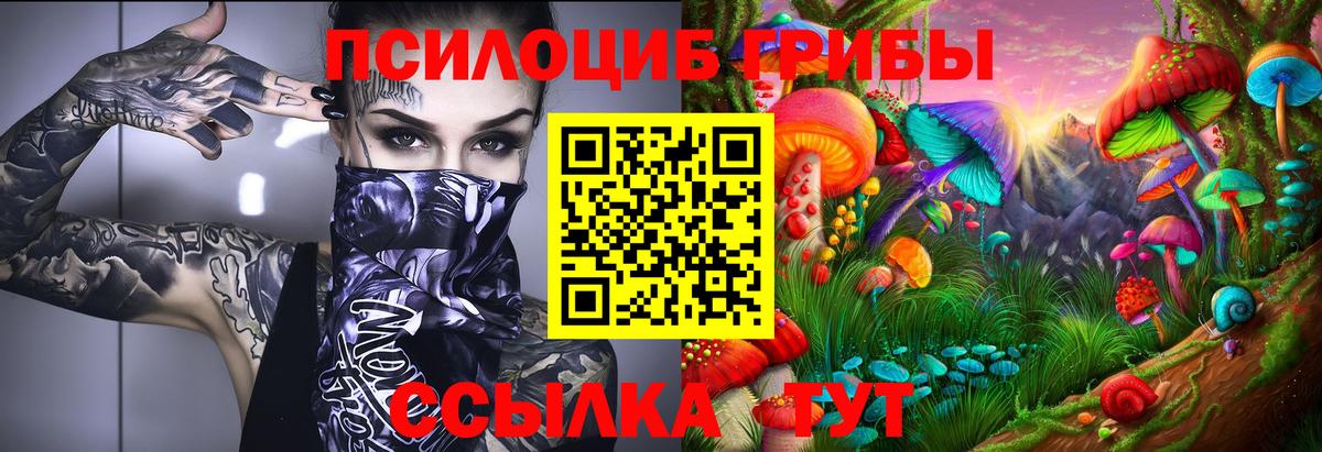 Псилоцибиновые грибы GOLDEN TEACHER  Вход с VPN  Верхняя Салда 